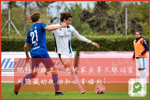 玩转新版本，老玩家分享买球站官网隐藏的改动和必拿福利！
